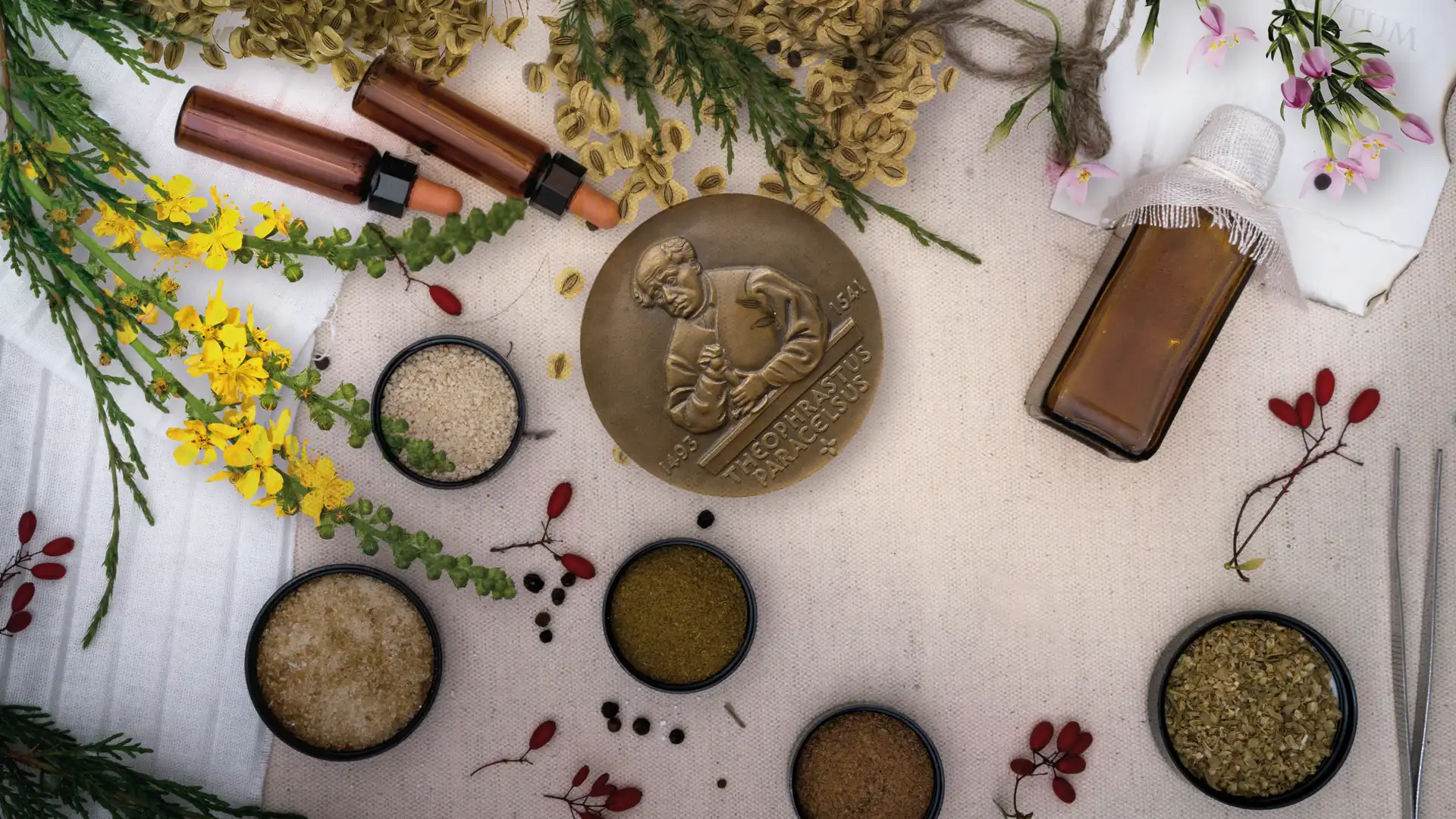 Aus der Apotheke des Paracelsus