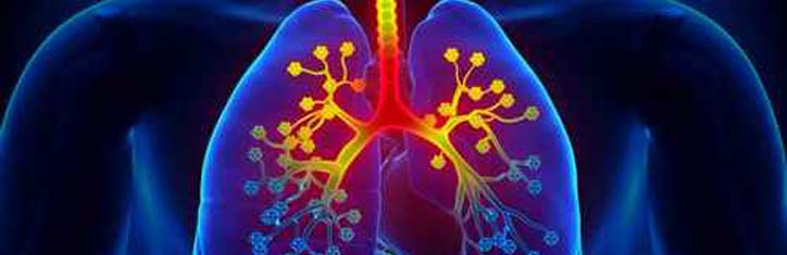 Blutegel gegen Asthma