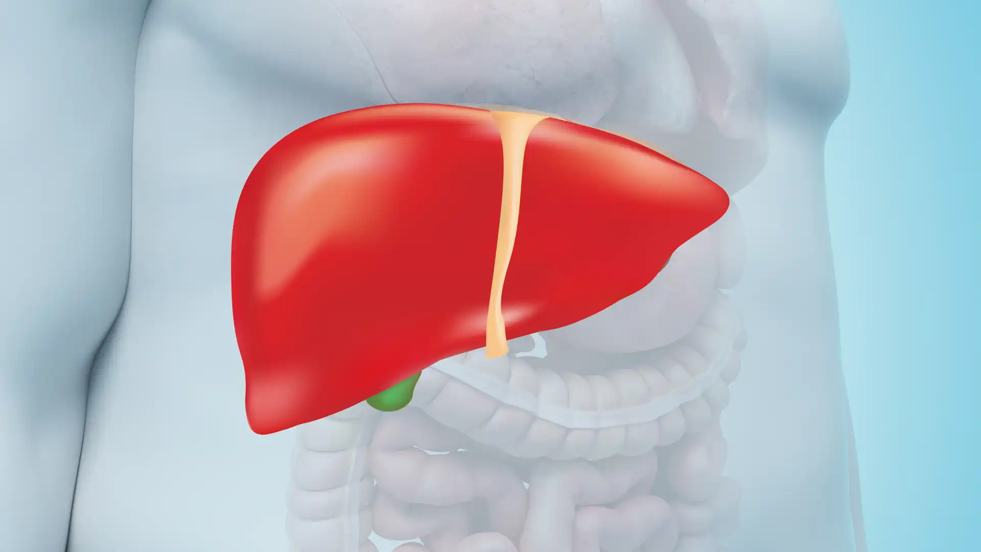 Clustertherapie bei Stoffwechselproblemen