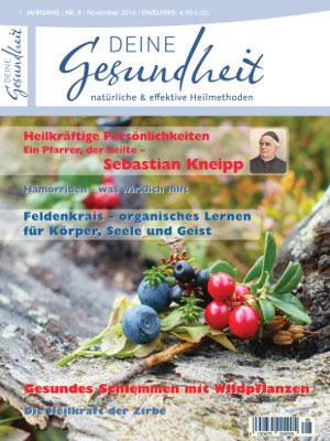 E-Paper: Deine Gesundheit Ausgabe Nr. 8 November 2016