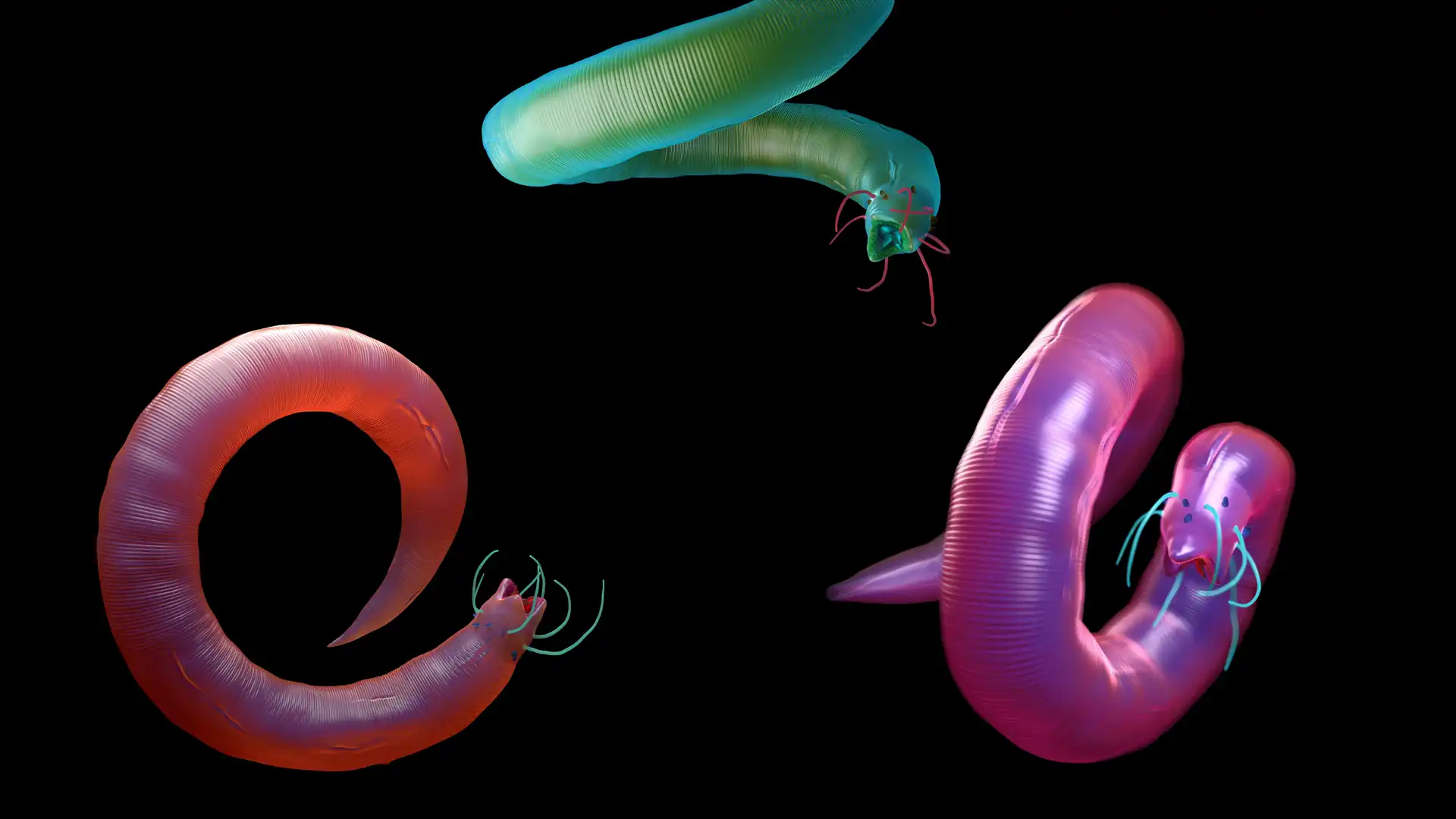 Parasiten im Darm