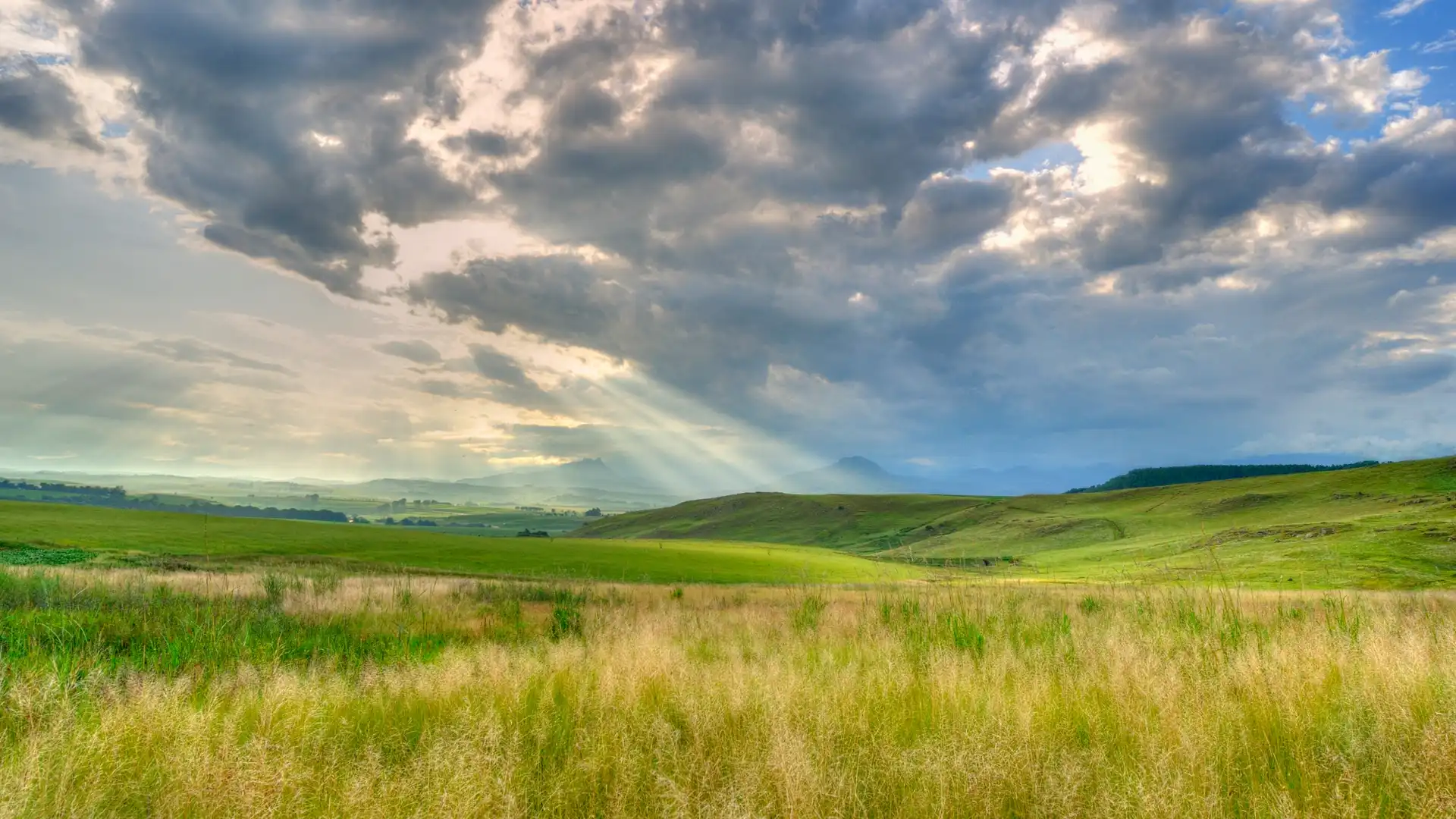 Das Klima natürlich harmonisieren