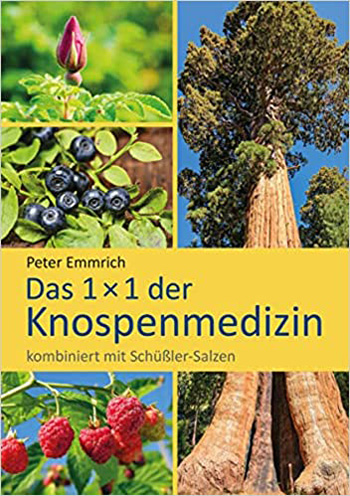 Das 1x1 der Knospenmedizin: kombiniert mit Schüßler-Salzen
