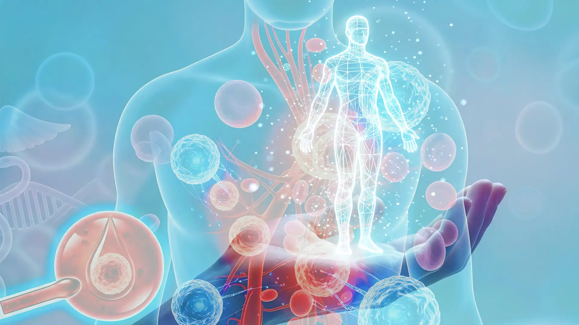 Symbolische Darstellung eines menschlichen Körpers mit Zellen und Energiefeldern als Illustration für Stoffwechsel, Gesundheit und ganzheitliche Krebsvorsorge.