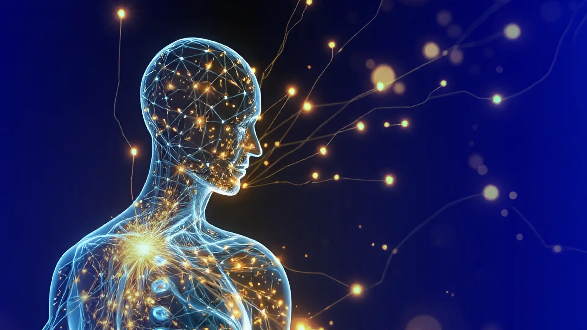Longevity beginnt in der Zelle