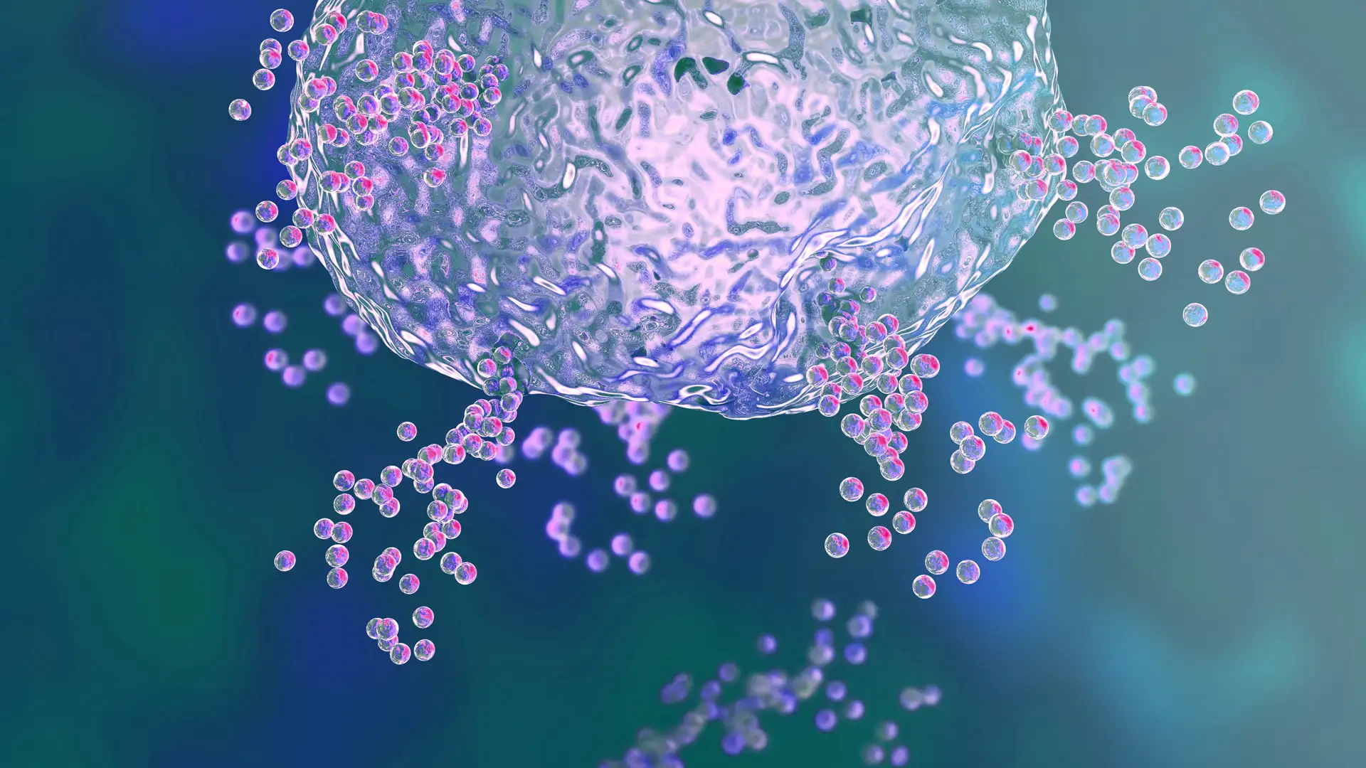 MCAS oder überaktivierte Mastzellen