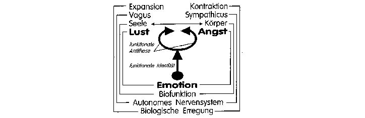 Biophysikalische Messverfahren Teil 5