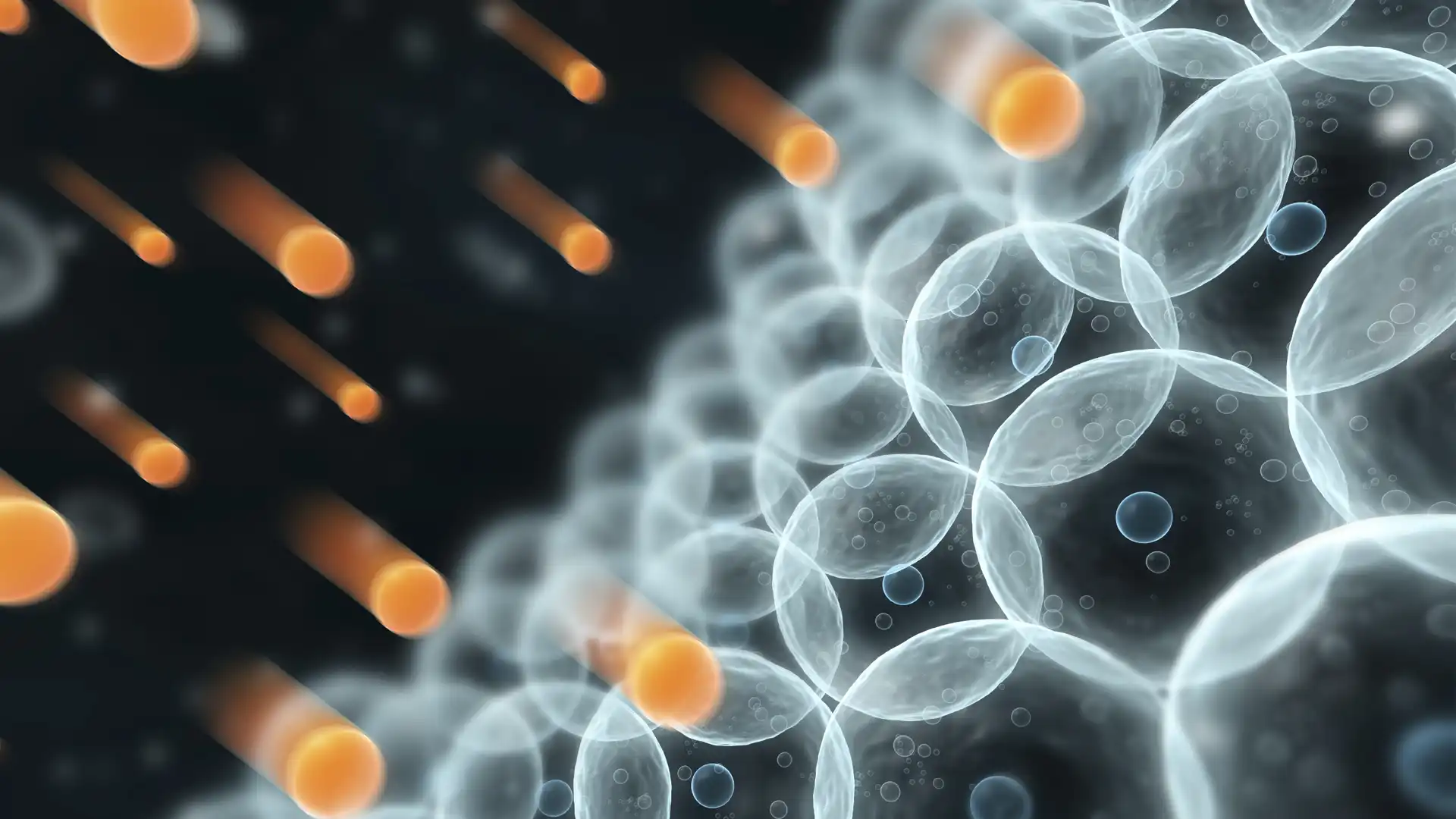 Mitochondrien im Fokus