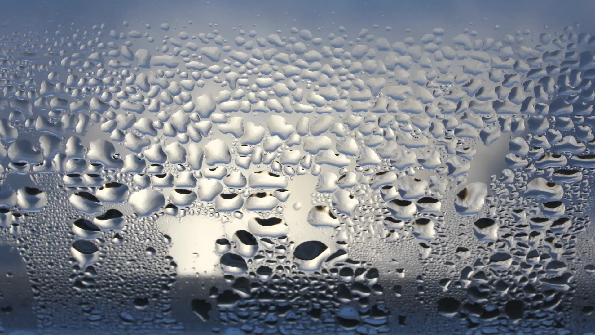 Natürlich die Feuchte regulieren