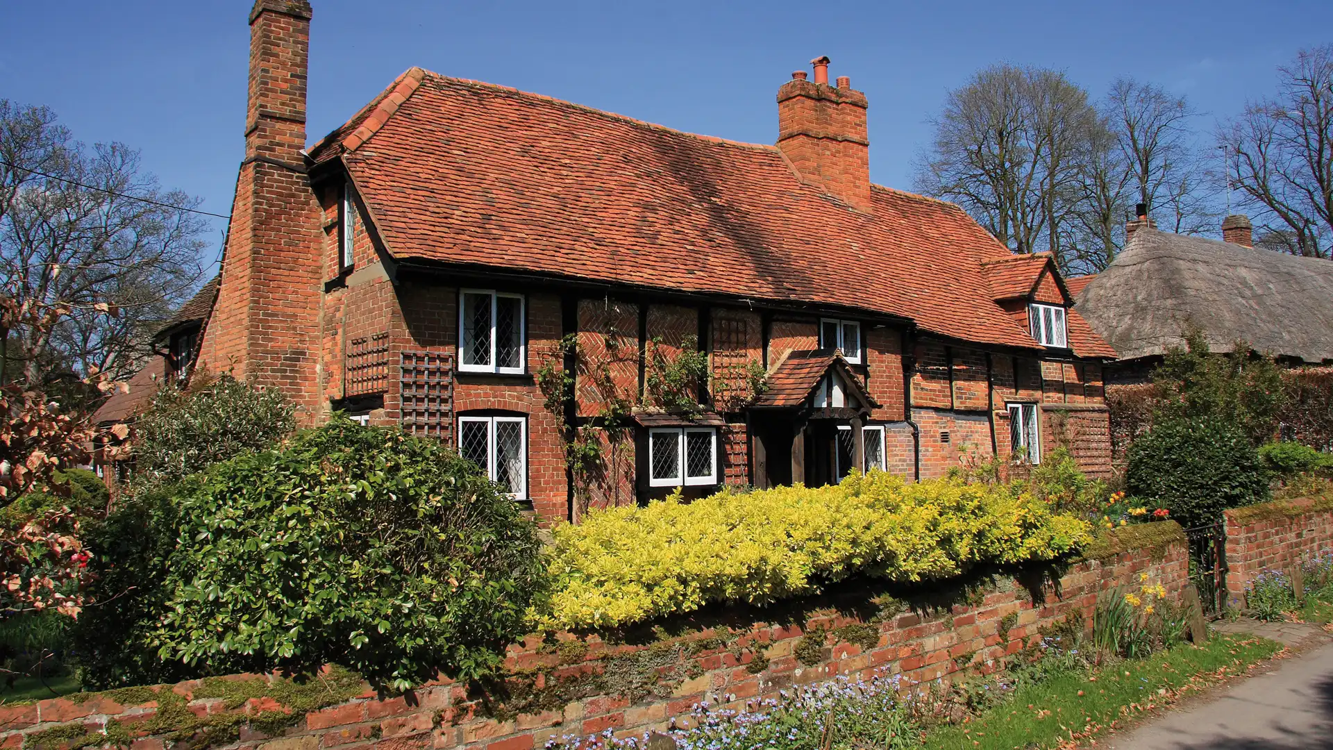 Die Information von Architektur