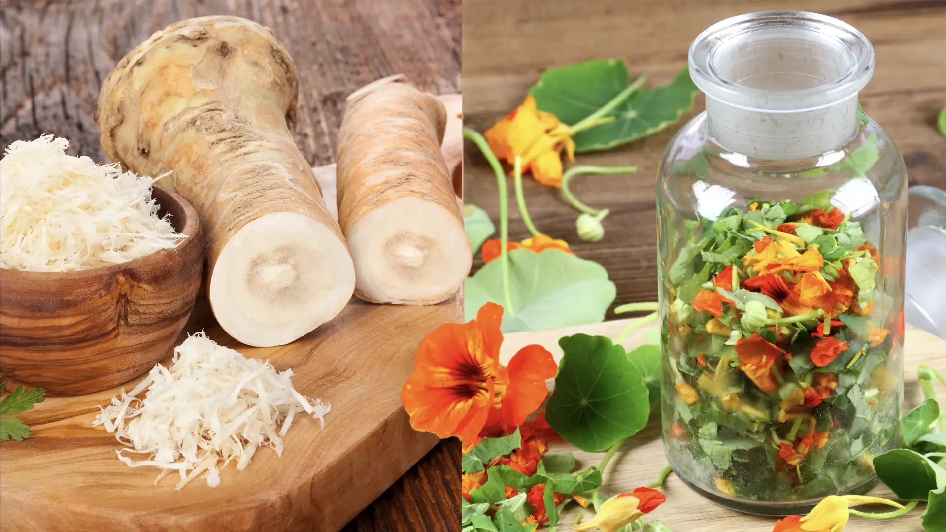 Meerrettich und Kapuzinerkresse als kraftvolles Heilpflanzen-Duo mit natürlicher antibiotischer Wirkung.