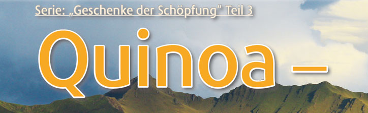 Quinoa – Das Gold der Inkas