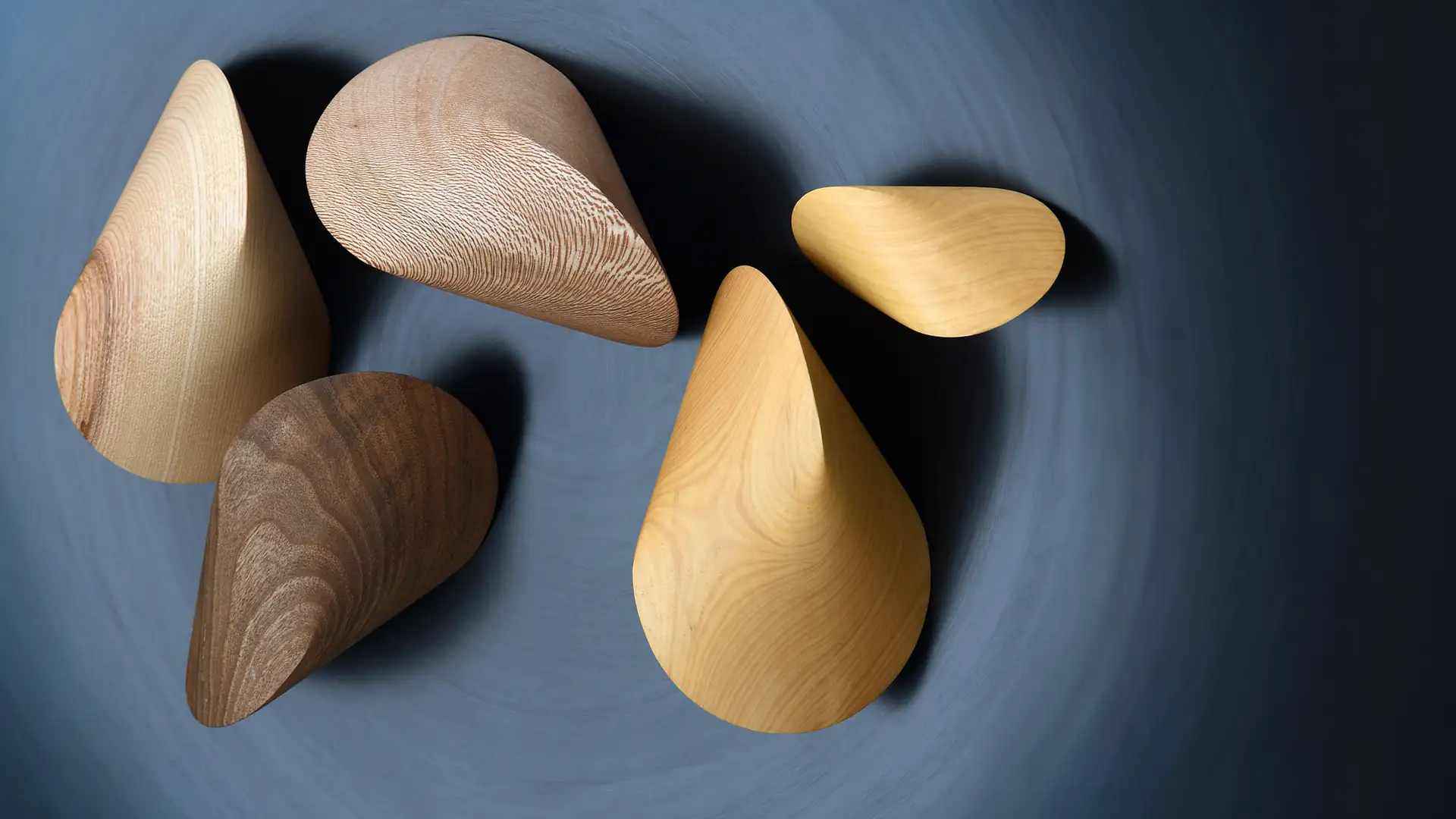Oloide aus Holz als geometrische Formen der von Paul Schatz entdeckten Umstülpungstechnik.