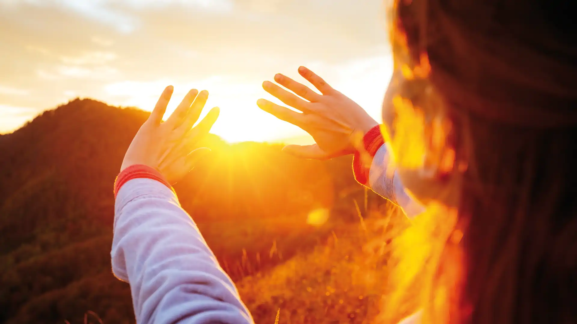 Von Vitamin D bis Zistrose