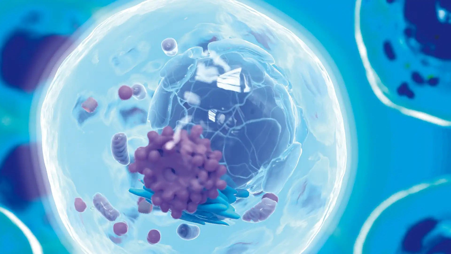 Schüßler-Salze für gesunde Zellen