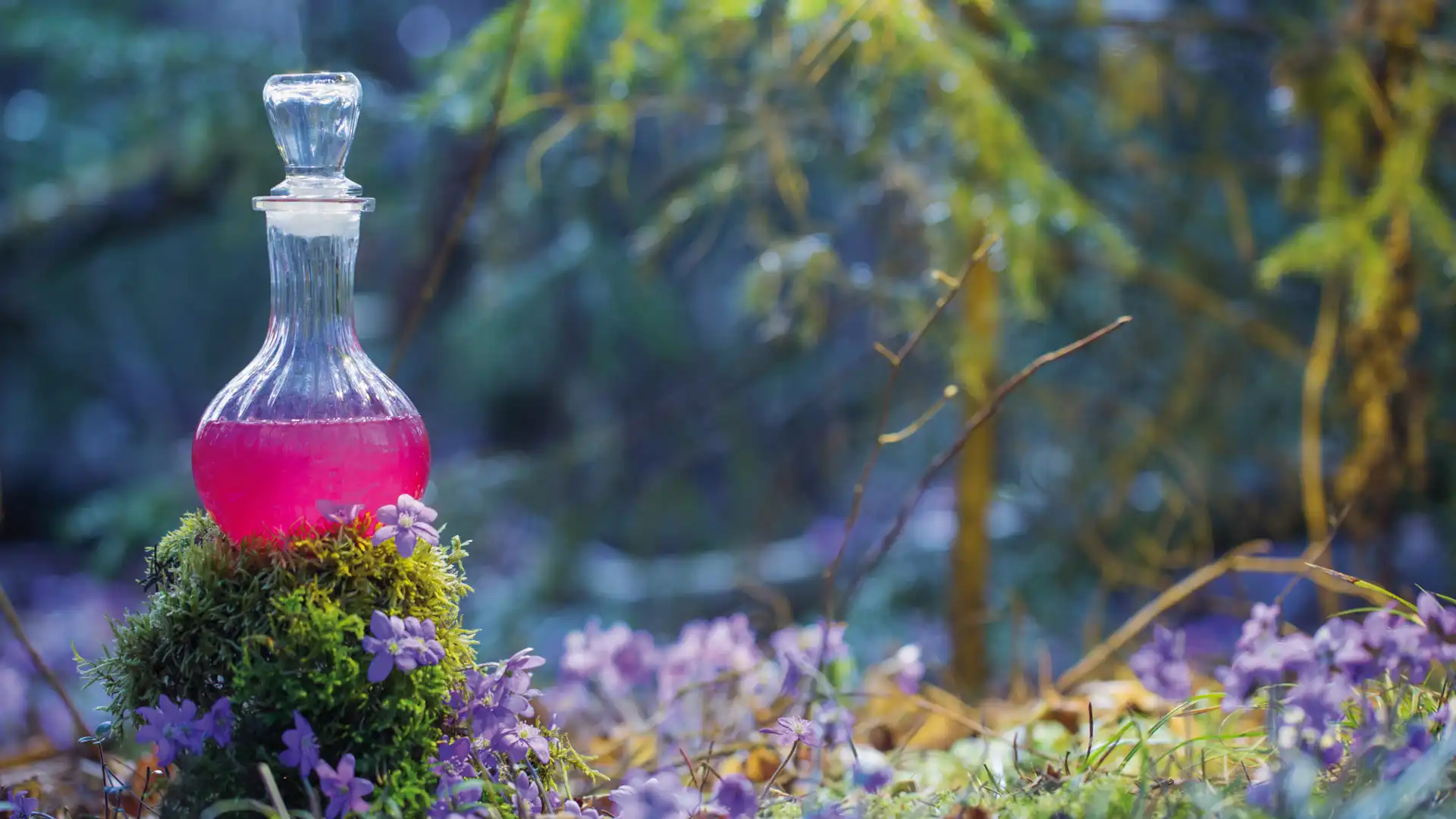 Die spagyrischen Solunate